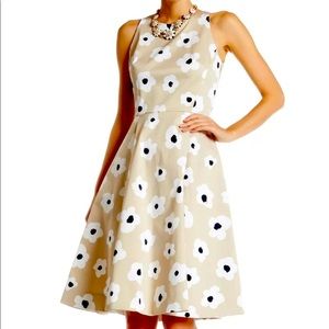 Kate Spade Dress  fit and flare Faye New NWOT